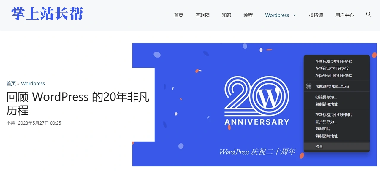 Perfmatters使用教程:优化WordPress