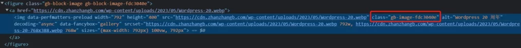 Perfmatters使用教程:优化WordPress