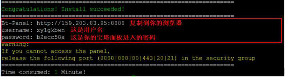 最新干货分享丨零基础，最详细的wordpress建站流程