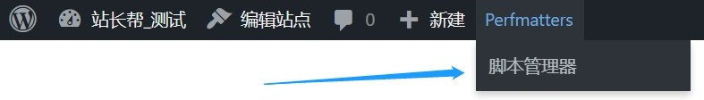 Perfmatters教程:静态资源优化,大幅提速WordPress