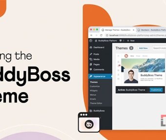 <span class="mi-jiaobiao mi-left" style="background-color:#ff6000;">精选</span>BuddyBoss Theme v2.3.80 已激活汉化版 WordPress社区主题